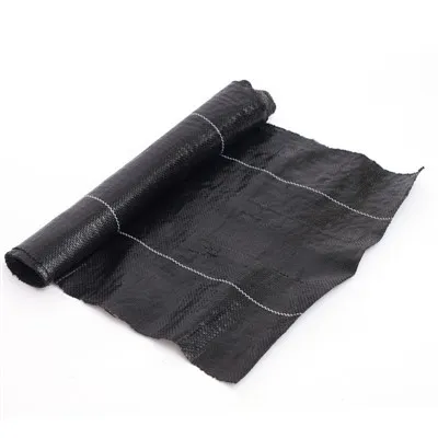 ຮູບເງົາຄວບຄຸມວັດສະພືດ